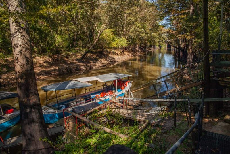 Big Cypress Bayou Boat Ride