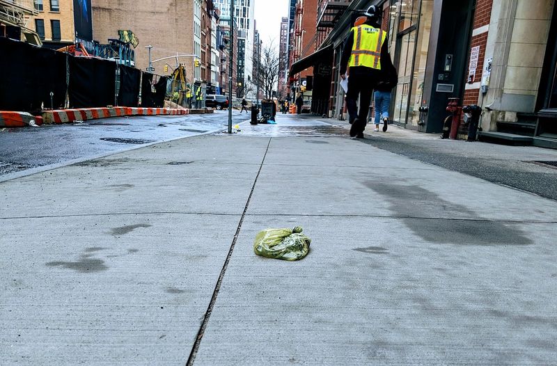 The Sidewalk Minefield: Dog Waste