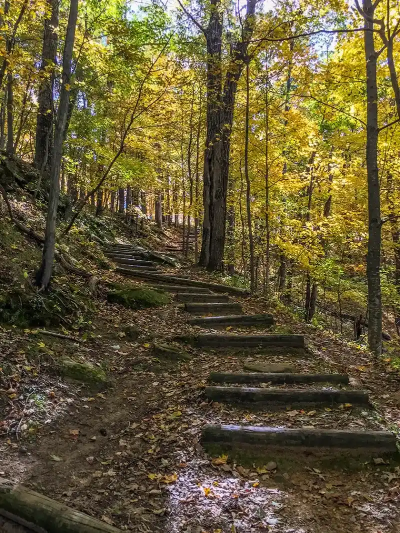Abandoned Trails in NC State Parks