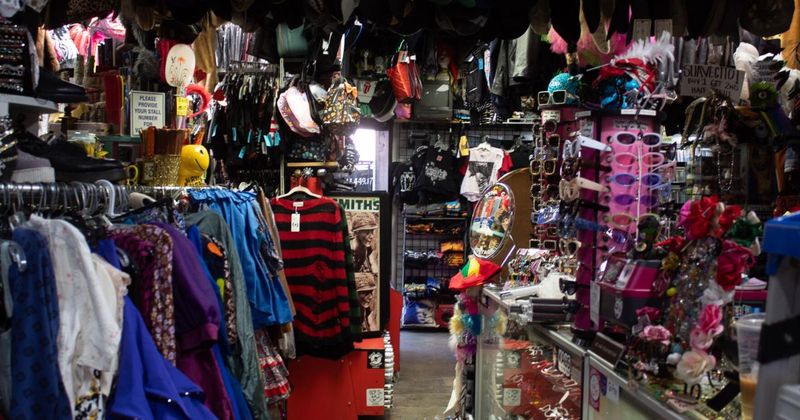 Stray Cat Vintage & Costumes in Fullerton