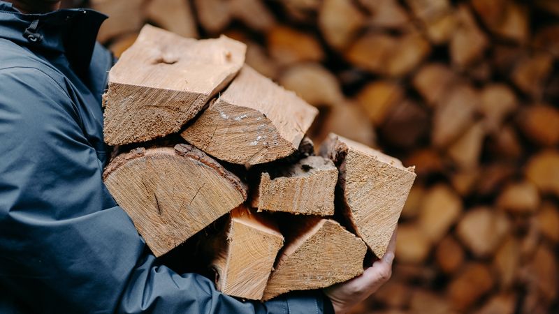 Using Non-Local or Illegal Firewood