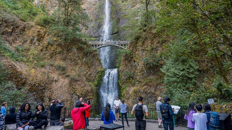 Creating a Path to the Waterfall's Edge