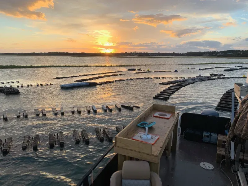 Distinct Local Flavors of Coastal Waters