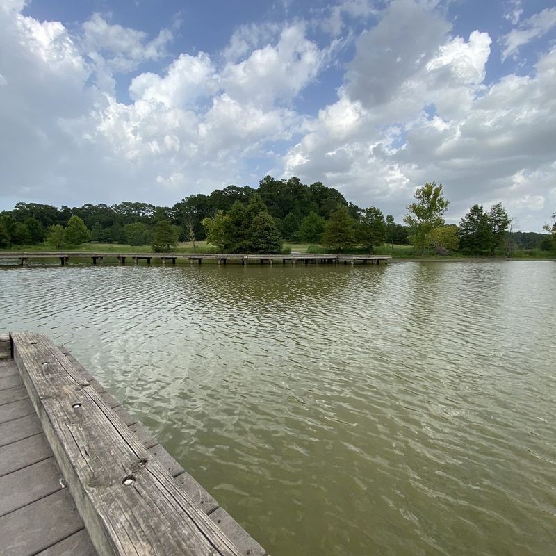 Harris Lake Park Forgotten Shores