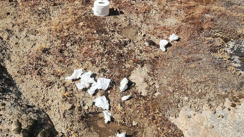 1. Toilet Paper Trails in Yosemite