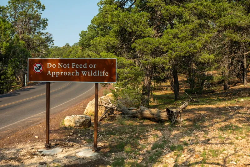 Feeding Wildlife in State Parks