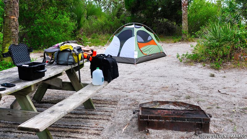 Cape Canaveral National Seashore (Playalinda & Apollo)