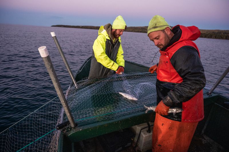 Experience Living Commercial Fishing Traditions Up Close