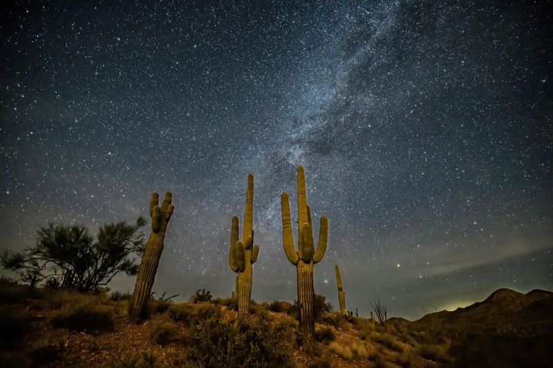 Coolidge: Wide-Open Skies and Ancient Monuments