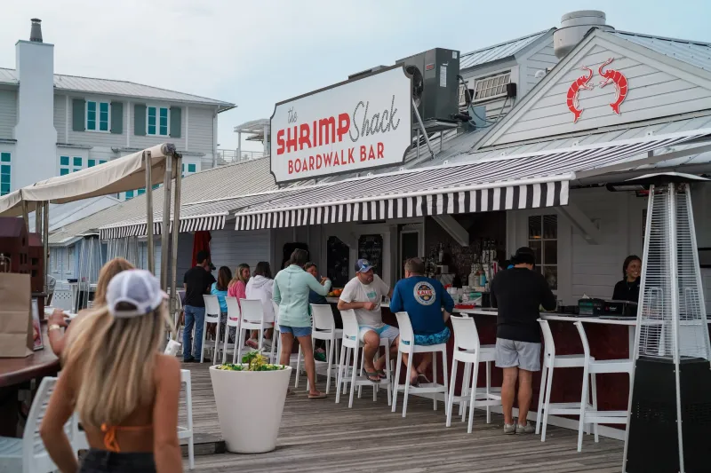 Understanding the Shack's Nature