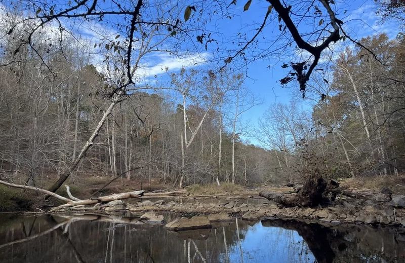 Eno River, Mills, and Night Soundscapes