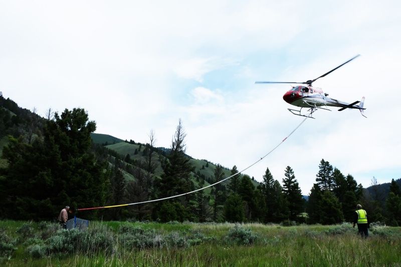 Search and Rescue Reimbursement