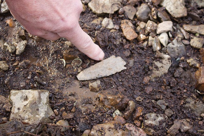 Archaeological Artifacts