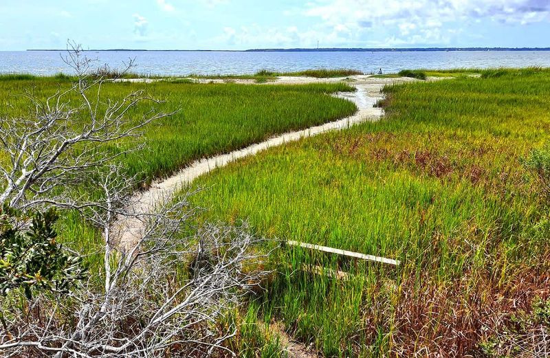 Sheldon Marsh's Forgotten Coastal Trail