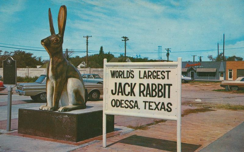 Giant Jackrabbit, Odessa