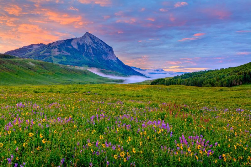 The Wildflower Capital of Colorado