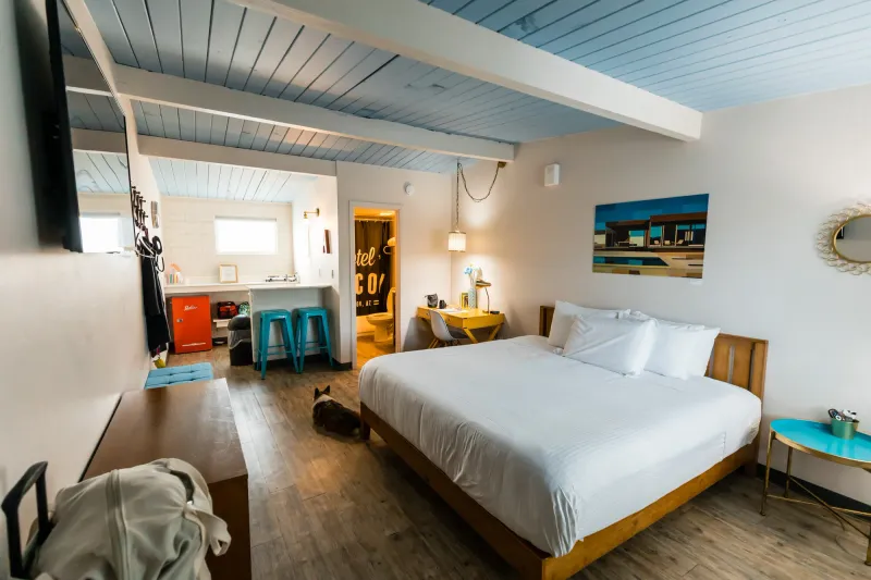 Retro Rooms with a Side of Sass