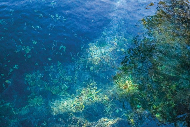 Balmorhea State Park - Toyahvale