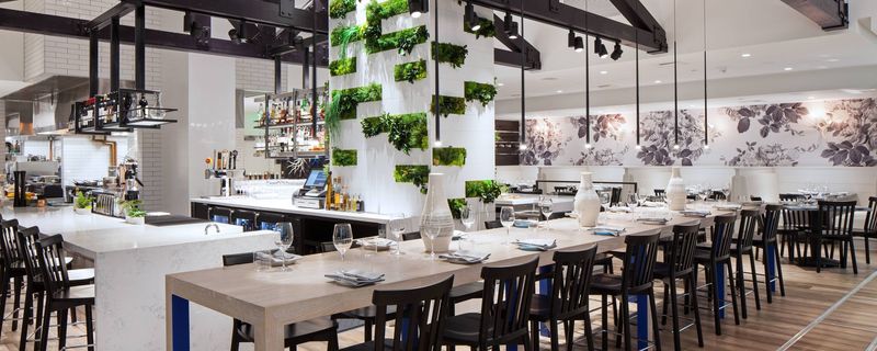 The Lakehouse: Bellevue's Raindrop Symphony