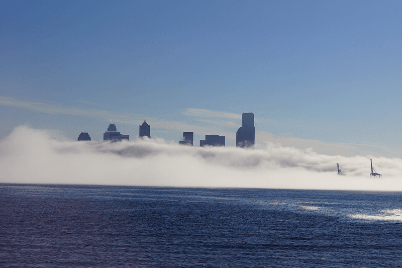Ferries, Views, and Fog Timing