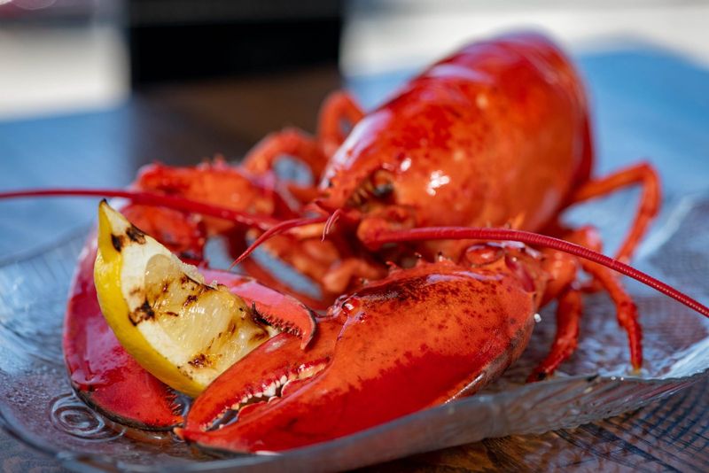 Lobster that steals the spotlight