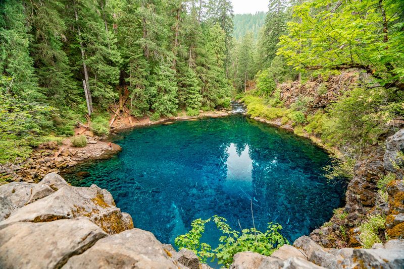 Water Quality Stress at Tamolitch Blue Pool