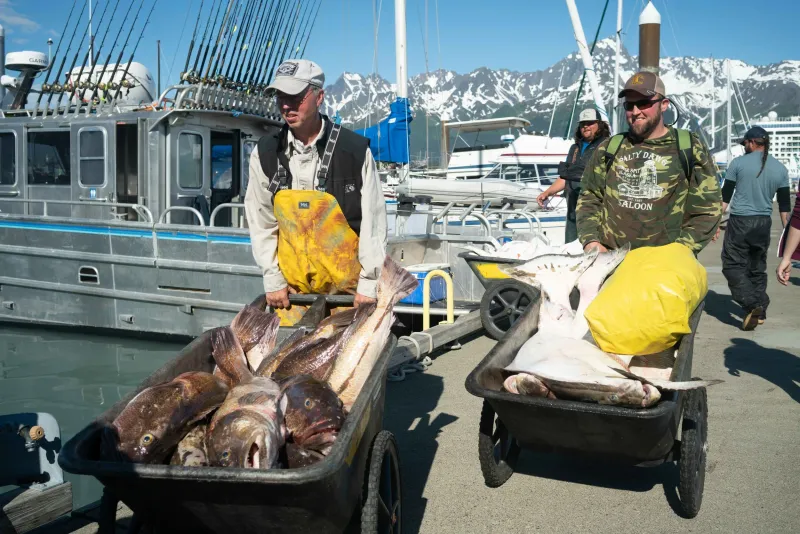 J-Dock Seafood – Seward’s Dockside Treasure