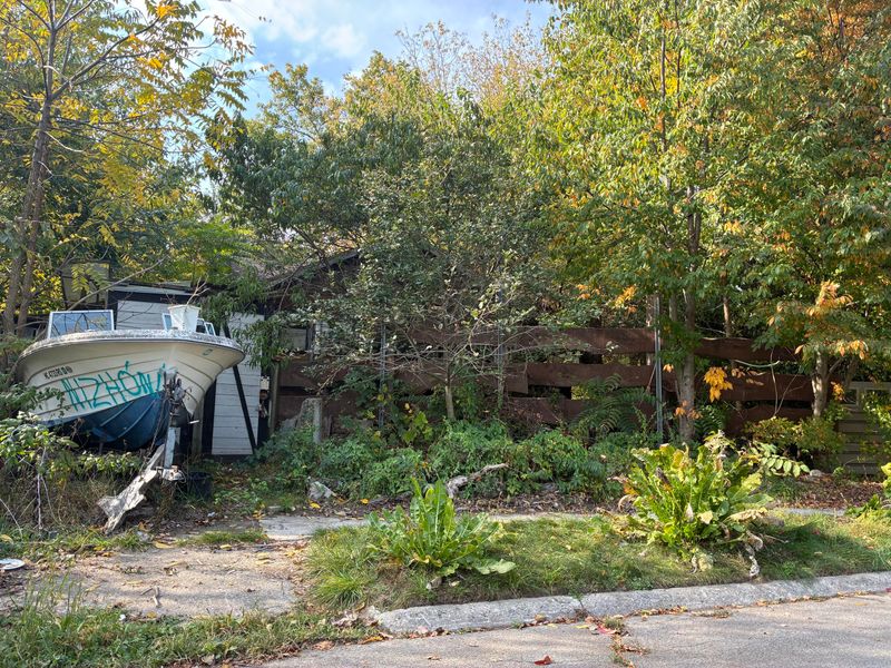 Overgrown Street Networks