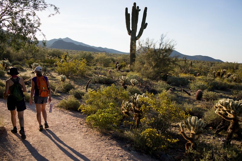Hannah Moody, McDowell Sonoran Preserve cautionary tale