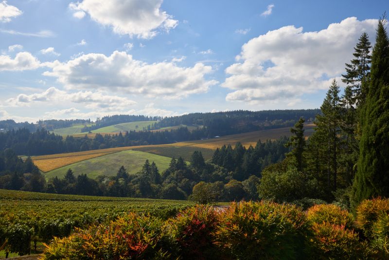 Willamette Valley Trails, Farms, and Small Towns 