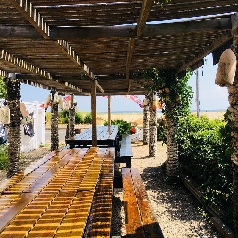 Beach Views and Picnic Vibes