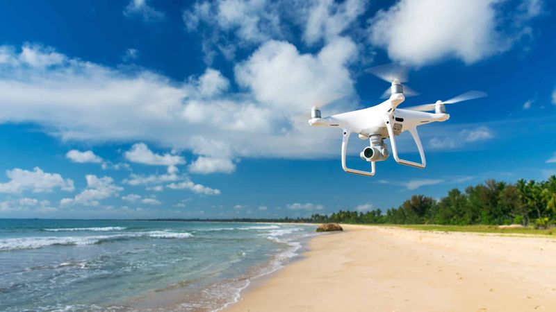 Case Studies from Popular Florida Destinations
