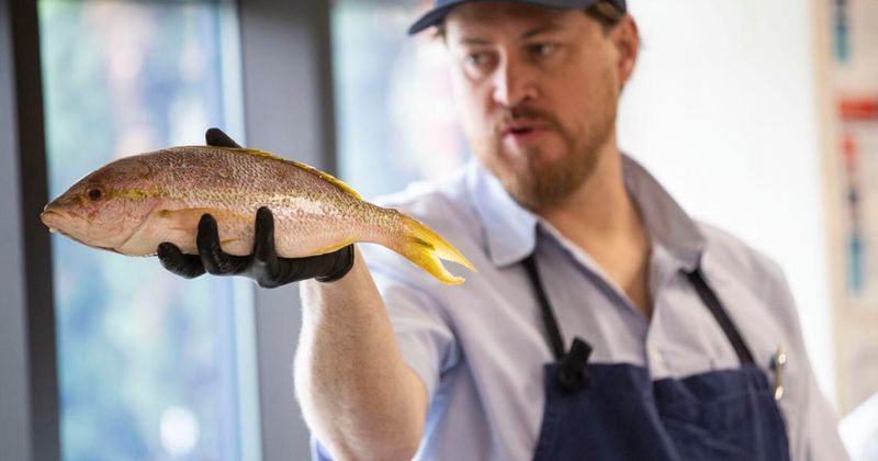 James Beard Award Recognition
