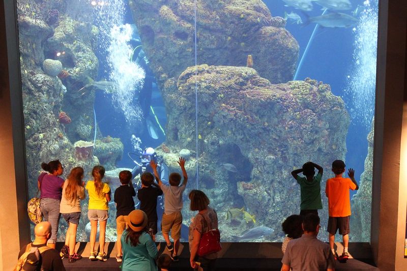 South Carolina Aquarium
