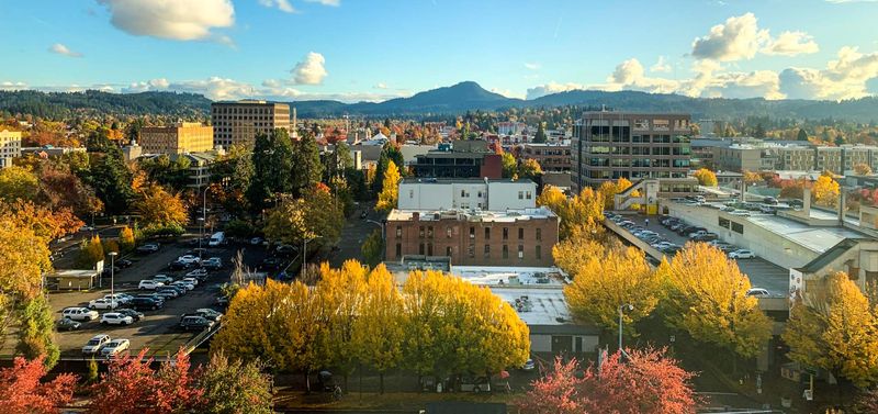 Shifts in Local Business Landscapes