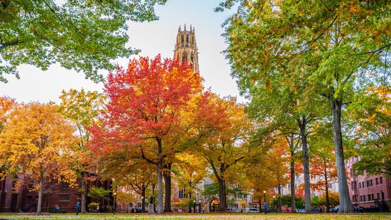 Yale University and New Haven's Surprising Cultural Scene