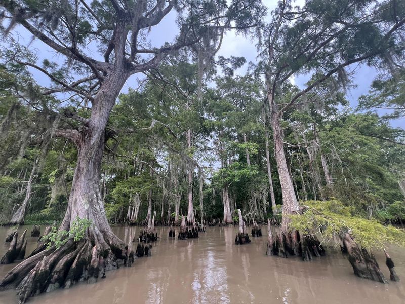Damaged Delicate Ecosystems