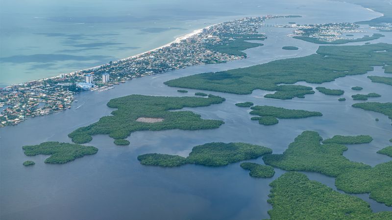 Coastal Overdevelopment Eliminating Natural Landscapes