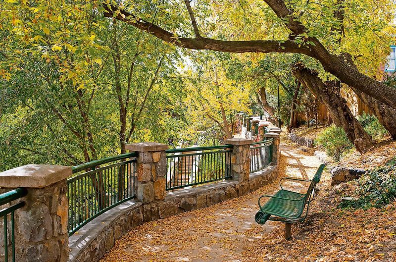Silver City: Where Art Meets Wilderness