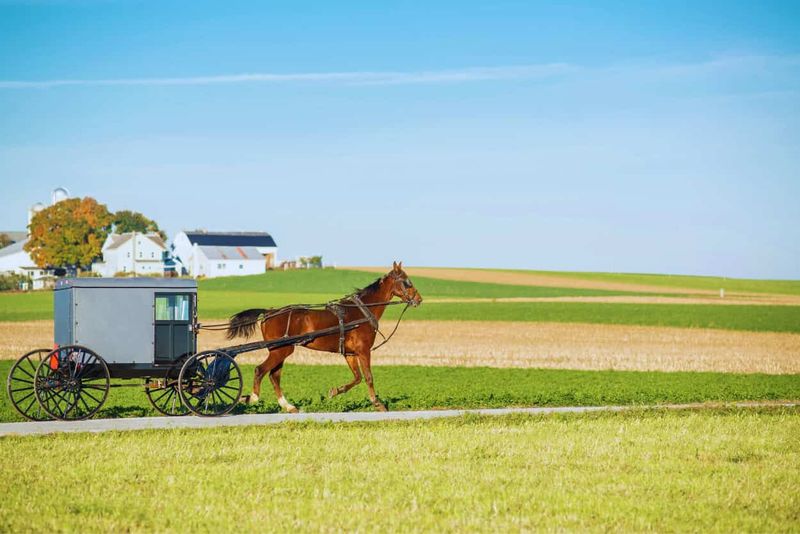 What Travelers Take Away From Amish Country