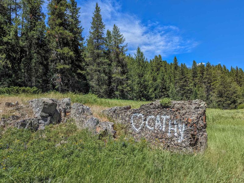 Vandalism and Defacement of Natural Features