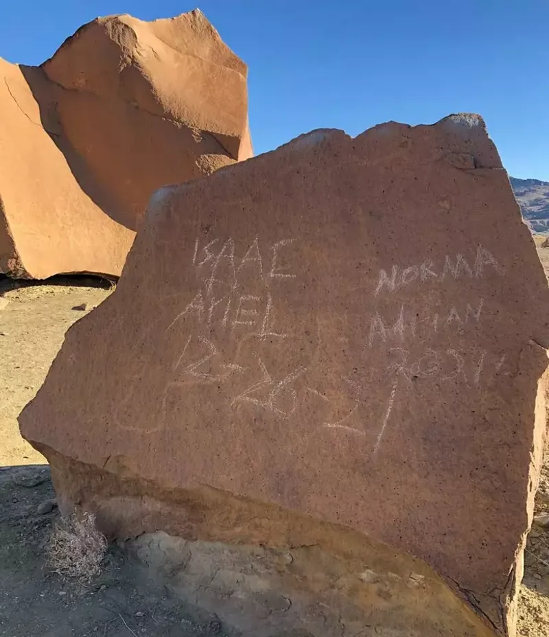 Defacing Nature