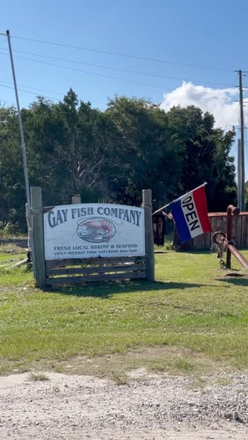 Gay Fish Company