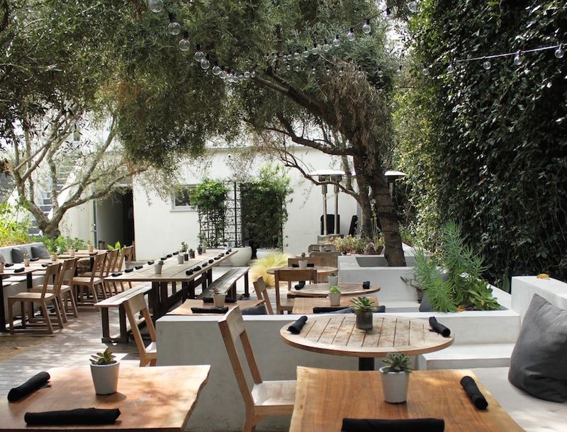 Plant Food + Wine – Matthew Kenney's Masterpiece On Abbot Kinney