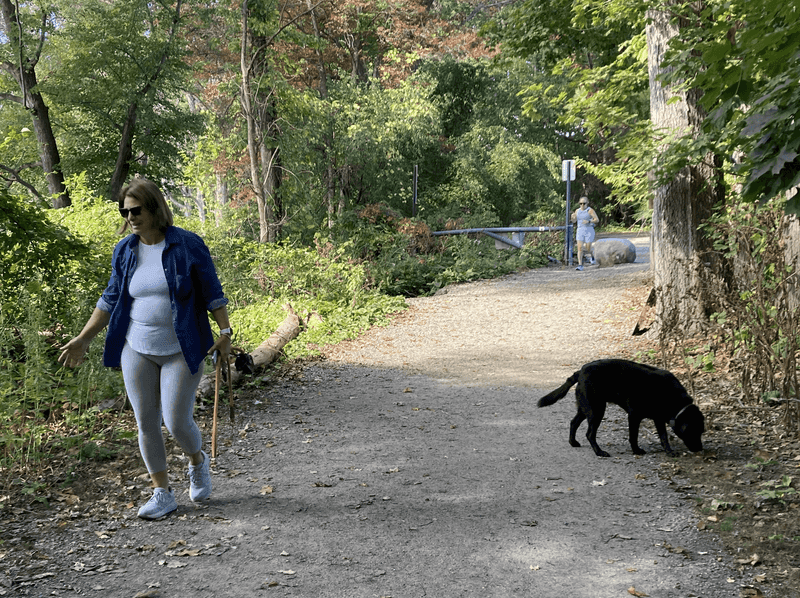 Leash Laws in Public Parks