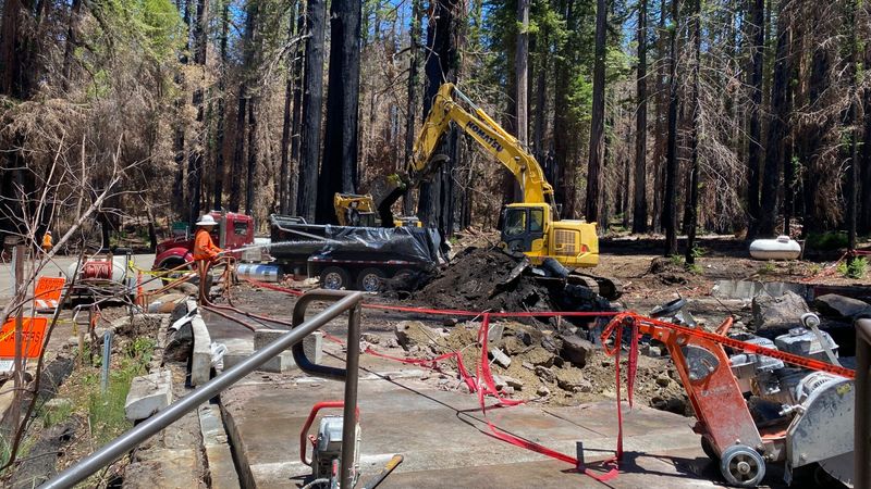 Forest management and infrastructure strain