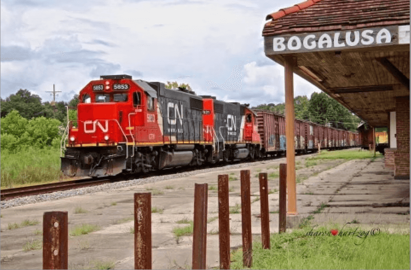 Bogalusa