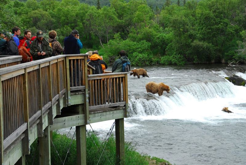 Iconic Wildlife Tours With Limited Solitude