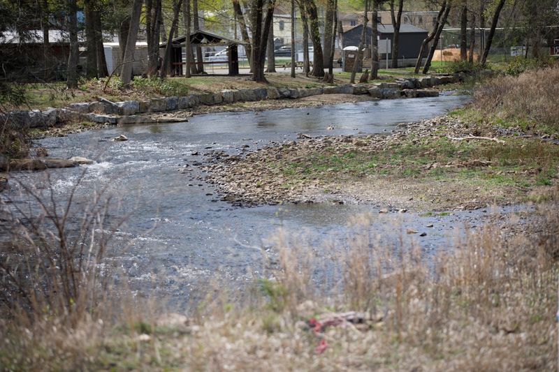 Environmental Concerns