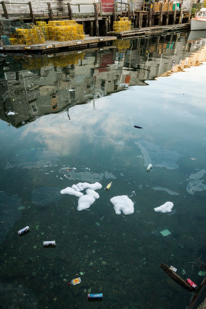 Litter & Pollution